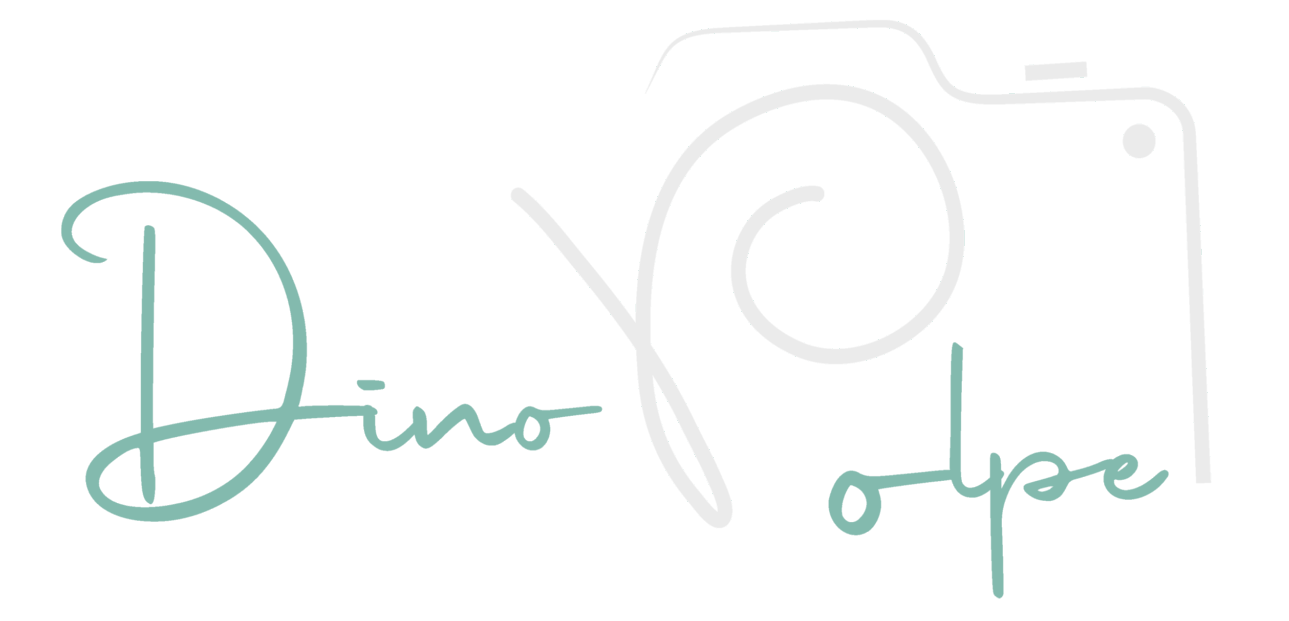 Dino Volpe | Fotografo